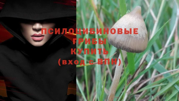 эйфоретик Алексеевка