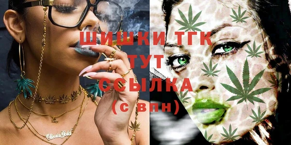 круглые Алзамай